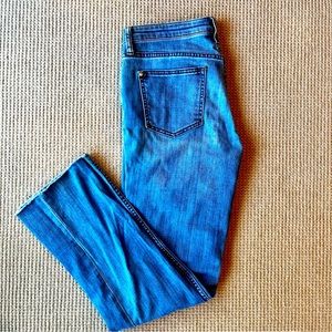 Anthropologie Pilcro slim straight jeans